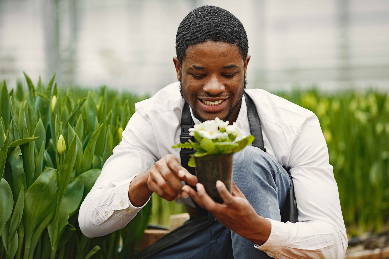 African gardener in greenhouse