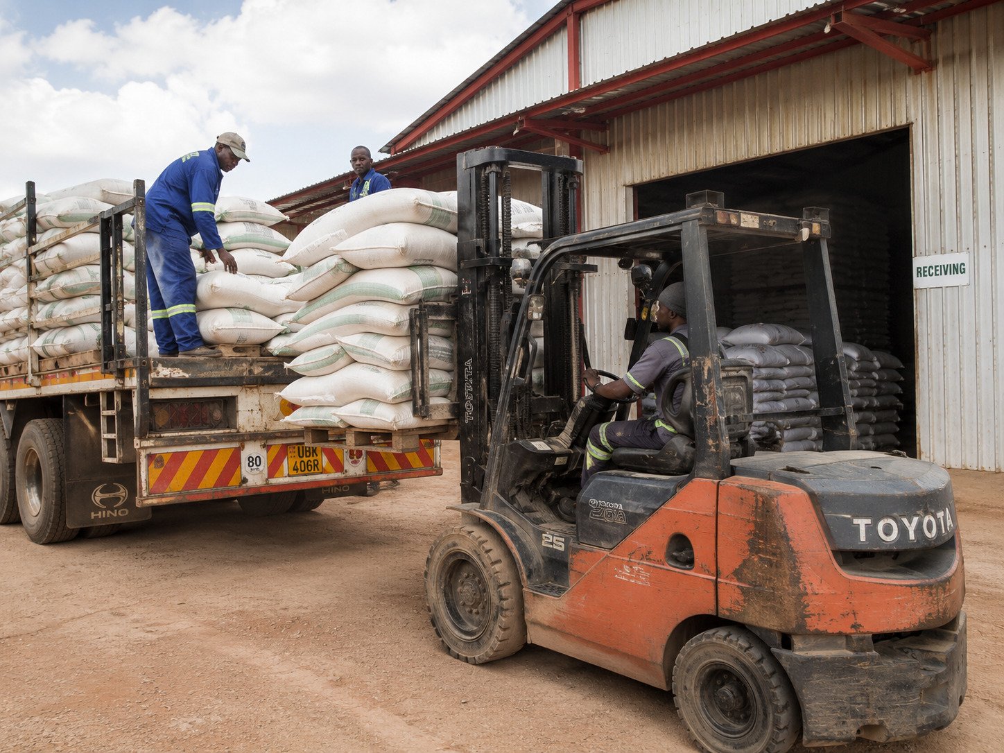 Maize grain in bulk sacks